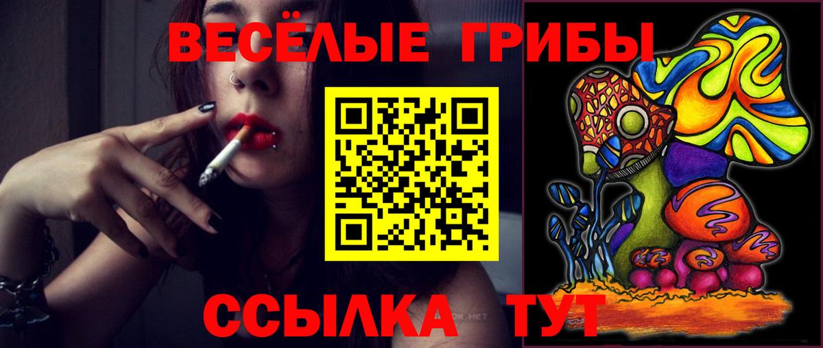 Лениногорск  Галлюциногенные грибы ЛСД  Вход с VPN  Галлюциногенные грибы Cubensis 