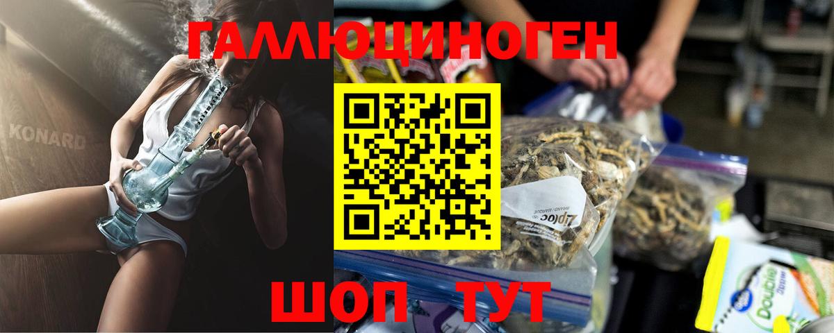Псилоцибиновые грибы GOLDEN TEACHER Лениногорск